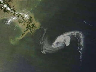 Des barrages flottants ont été mis en place près de la côte 