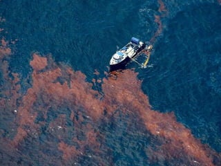 la Garde nationale construis une barrière Hensco sur l'île Dauphin, Alabama.May 3, 2010. Les barrières devront solidifier le pétrole qui 		           entre dans les barrières. 