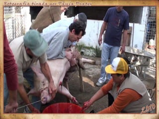 Fotografia tirada por Tânia Prates2010