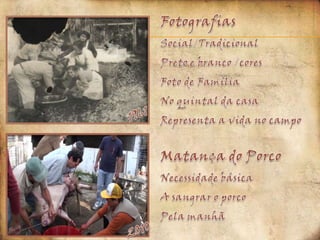 FotografiasSocial/TradicionalPreto e branco /coresFoto de FamíliaNo quintal da casaRepresenta a vida no campoMatança do PorcoNecessidade básicaA sangrar o porcoPela manhã19612010