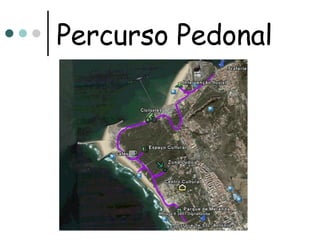 Percurso Pedonal 