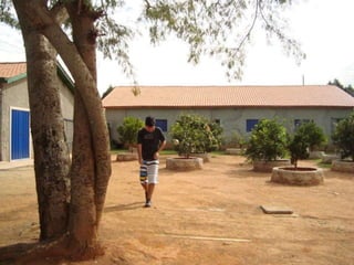 O Mega mês de julho