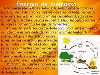 A biomassa são restos e sobras de toda a espécie: árvores
mortas, ramos de árvores, restos de relva cortada, cascas de
árvores e serradura que sobram nas carpintarias, sobras de
colheitas, cascalho e pedras miúdas das habitações, produtos
de papel e outros objetos que deitamos fora.
A biomassa pode ser aproveitada para produzir eletricidade
reduzindo a necessidade de recorrer a outras fontes de
energia. Hoje em dia descobrem-se
novas formas de usá-la, por exemplo,
para produzir um álcool especial que
serve de combustível para os carros.
Outra maneira de usar a biomassa é
transformá-la em gases inflamáveis
cujo objetivo é a produção elétrica.
Portanto, seu custo é baixíssimo,
já que está é produzida com sobras
de todas as espécies.
 