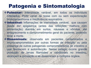 Patogenia e Sintomatologia
 Pulmonar: Intensidade variável, em todos os indivíduos
  infectados. Pode variar de tosse com ou sem expectoração
  broncopneumonia e insuficiência respiratória .
 Intestinal: Inflamações de intensidade variável, que causam
  desde dor epigástrica (antes das refeições, melhora com
  alimentação) diarréia em surtos, náuseas e vômitos, até
  emagrecimento e comprometimento geral do paciente, podendo
  levar a morte.
 Disseminada: observada em pacientes contaminados e
  imunocomprometidos por outras formas de infecção ou pela
                                                 Lesão Cutánea
  presença de outras patogenias comprometedoras do intestino e
  que favorecem a autoinfecção. Nesse estágio ocorre grande
  produção de larvas filarióides e rabditóides no intestino,
  alcançam a circulação e se disseminam a múltiplos órgãos.
 