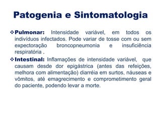 Patogenia e Sintomatologia
Pulmonar: Intensidade variável, em todos os
 indivíduos infectados. Pode variar de tosse com ou sem
 expectoração      broncopneumonia      e    insuficiência
 respiratória .
Intestinal: Inflamações de intensidade variável, que
 causam desde dor epigástrica (antes das refeições,
 melhora com alimentação) diarréia em surtos, náuseas e
 vômitos, até emagrecimento e comprometimento geral
 do paciente, podendo levar a morte.
 