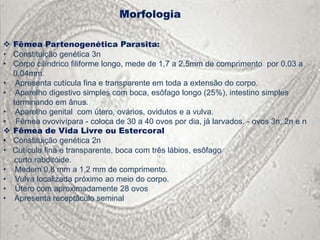 Morfologia

 Fêmea Partenogenética Parasita:
• Constituição genética 3n
• Corpo cilíndrico filiforme longo, mede de 1,7 a 2,5mm de comprimento por 0,03 a
  0,04mm.
• Apresenta cutícula fina e transparente em toda a extensão do corpo.
• Aparelho digestivo simples com boca, esôfago longo (25%), intestino simples
  terminando em ânus.
• Aparelho genital com útero, ovários, ovidutos e a vulva.
• Fêmea ovovivípara - coloca de 30 a 40 ovos por dia, já larvados. - ovos 3n, 2n e n
 Fêmea de Vida Livre ou Estercoral
• Constituição genética 2n
• Cutícula fina e transparente, boca com três lábios, esôfago
  curto rabditóide.
• Medem 0,8 mm a 1,2 mm de comprimento.
• Vulva localizada próximo ao meio do corpo.
• Útero com aproximadamente 28 ovos
• Apresenta receptáculo seminal
 