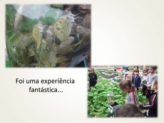 Foi uma experiência
fantástica...
 