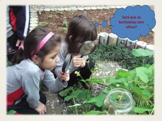 Será que as
borboletas tem
olhos?
 