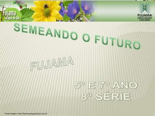 Fonte imagem: http://fujama.jaraguadosul.com.br/
 