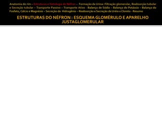 ESTRUTURAS DO NÉFRON : ESQUEMA GLOMÉRULO E APARELHO
JUSTAGLOMERULAR

 