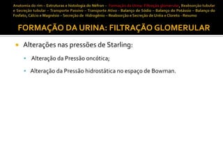 FORMAÇÃO DA URINA: FILTRAÇÃO GLOMERULAR


Alterações nas pressões de Starling:
 Alteração da Pressão oncótica;
 Alteração da Pressão hidrostática no espaço de Bowman.

 
