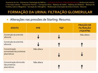 FORMAÇÃO DA URINA: FILTRAÇÃO GLOMERULAR


Alterações nas pressões de Starling: Resumo.
EFEITO

FPR

Constrição da arteríola
aferente

TGF

FRAÇÃO DE
FILTRAÇÃO
(TGF/FPR)
Não altera

Constrição da arteríola
eferente
Concentração
aumentada das proteínas
plasmáticas

Não altera

Concentração diminuída
das proteínas
plasmáticas

Não altera

 