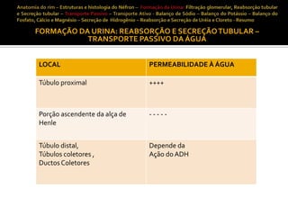 FORMAÇÃO DA URINA: REABSORÇÃO E SECREÇÃO TUBULAR –
TRANSPORTE PASSIVO DA ÁGUA
LOCAL

PERMEABILIDADE À ÁGUA

Túbulo proximal

++++

Porção ascendente da alça de
Henle

-----

Túbulo distal,
Túbulos coletores ,
Ductos Coletores

Depende da
Ação do ADH

 