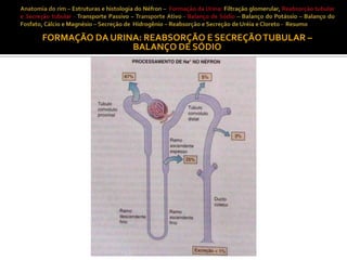 FORMAÇÃO DA URINA: REABSORÇÃO E SECREÇÃO TUBULAR –
BALANÇO DE SÓDIO

 