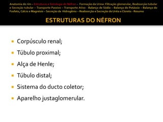 ESTRUTURAS DO NÉFRON


Corpúsculo renal;



Túbulo proximal;



Alça de Henle;



Túbulo distal;



Sistema do ducto coletor;



Aparelho justaglomerular.

 