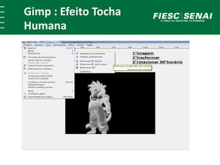 Gimp : Efeito Tocha 
Humana 
 