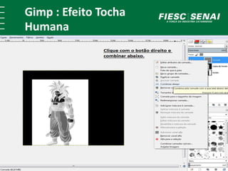 Gimp : Efeito Tocha 
Humana 
 