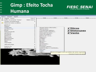 Gimp : Efeito Tocha 
Humana 
 