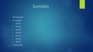 Sumário 
1. Introdução 
2. A viagem 
1. Dia 01 
2. Dia 02 
3. Dia 03 
4. Dia 04 
5. Dia 05 
6. Dia 06 
7. Dia 07 
3. Conclusão 
 