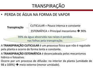 • PERDA DE ÁGUA NA FORMA DE VAPOR
TRANSPIRAÇÃO
Transpiração
CUTICULAR = Pouco intensa e constante
ESTOMÁTICA = Principal mecanismo  90%
99% da água absorvida nas raízes é perdida
nas folhas pela transpiração.
A TRANSPIRAÇÃO CUTICULAR é um processo físico que não é regulado
pela planta e ocorre de forma lenta e constante.
A TRANSPIRAÇÃO ESTOMÁTICA é desencadeada pelos mecanismos
hídrico e fotoativo.
Ocorre por um processo de difusão: no interior da planta (umidade de
98 a 100%)  meio externo (menor umidade).
 