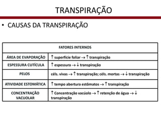 • CAUSAS DA TRANSPIRAÇÃO
ÁREA DE EVAPORAÇÃO  superfície foliar   transpiração
ESPESSURA CUTÍCULA  espessura   transpiração
PELOS céls. vivas   transpiração; céls. mortas   transpiração
ATIVIDADE ESTOMÁTICA  tempo abertura estômatos   transpiração
CONCENTRAÇÃO
VACUOLAR
 Concentração vacúolo   retenção de água  
transpiração
FATORES INTERNOS
TRANSPIRAÇÃO
 