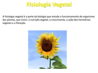 A fisiologia vegetal é a parte da biologia que estuda o funcionamento do organismo
das plantas, que inclui: a nutrição vegetal, o crescimento, a ação dos hormônios
vegetais e a floração.
Fisiologia Vegetal
 