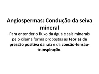 Angiospermas: Condução da seiva
mineral
Para entender o fluxo da água e sais minerais
pelo xilema forma propostas as teorias de
pressão positiva da raiz e da coesão-tensão-
transpiração.
 