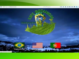 LIFE BOTANICAL - APRESENTAÇÃO
