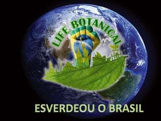 LIFE BOTANICAL - APRESENTAÇÃO