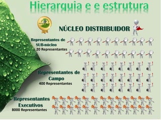 8000 Representantes
400 Representantes
20 Representantes
 