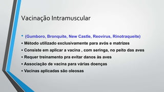 Vacinação Intramuscular
• (Gumboro, Bronquite, New Castle, Reovírus, Rinotraqueíte)
• Método utilizado exclusivamente para avós e matrizes
• Consiste em aplicar a vacina , com seringa, no peito das aves
• Requer treinamento pra evitar danos às aves
• Associação de vacina para várias doenças
• Vacinas aplicadas são oleosas
 