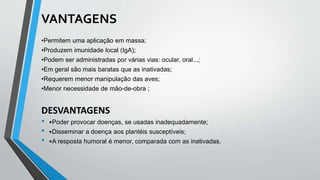 VANTAGENS
•Permitem uma aplicação em massa;
•Produzem imunidade local (IgA);
•Podem ser administradas por várias vias: ocular, oral...;
•Em geral são mais baratas que as inativadas;
•Requerem menor manipulação das aves;
•Menor necessidade de mão-de-obra ;
DESVANTAGENS
• •Poder provocar doenças, se usadas inadequadamente;
• •Disseminar a doença aos plantéis susceptíveis;
• •A resposta humoral é menor, comparada com as inativadas.
 