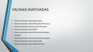 VACINAS INATIVADAS
• Vacina inativada contra Newcastle;
• Vacina inativada contra Bronquite Infecciosa;
• Vacina inativada contraCoriza Infecciosa;
• Vacina inativada contra EDS;
• Vacina inativada contra Síndrome da cabeça
• Inchada;
• Vacina inativada contraColicibaciloseAviaria
• Vacina inativada contra Samonella
• Vacina inativada contraCólera Aviaria
 