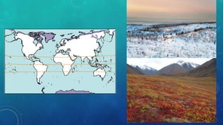 Tipos de Climas do mundo