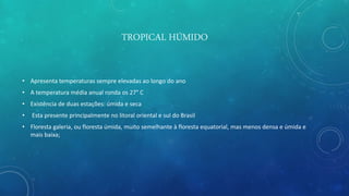 TROPICAL HÚMIDO
• Apresenta temperaturas sempre elevadas ao longo do ano
• A temperatura média anual ronda os 27° C
• Existência de duas estações: úmida e seca
• Esta presente principalmente no litoral oriental e sul do Brasil
• Floresta galeria, ou floresta úmida, muito semelhante à floresta equatorial, mas menos densa e úmida e
mais baixa;
 