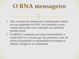 Tem a função de transcrever a informação contida
em um segmento de DNA. Seu tamanho e peso
variam de acordo com o tamanho da molécula
proteica final.
O mRNA é composto por duas extremidades: a
cauda Poli A e a cauda cap. Seu percurso é sair do
núcleo já portando as informações necessárias à
síntese e dirigir-se ao citoplasma.
O RNA mensageiro
 