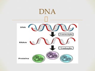 DNA
 