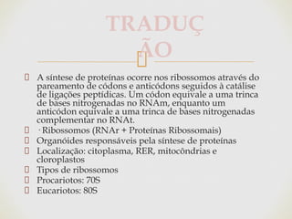 A síntese de proteínas ocorre nos ribossomos através do
pareamento de códons e anticódons seguidos à catálise
de ligações peptídicas. Um códon equivale a uma trinca
de bases nitrogenadas no RNAm, enquanto um
anticódon equivale a uma trinca de bases nitrogenadas
complementar no RNAt.
· Ribossomos (RNAr + Proteínas Ribossomais)
Organóides responsáveis pela síntese de proteínas
Localização: citoplasma, RER, mitocôndrias e
cloroplastos
Tipos de ribossomos
Procariotos: 70S
Eucariotos: 80S
TRADUÇ
ÃO
 