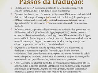 1)Saída do mRNA do núcleo portando determinado número de
códons (aminoácidos) e dirigindo-se ao citoplasma;
2)Já no citoplasma, um ribossomo se liga ao mRNA, num códon inicial
(há um códon específico que indica o início da leitura). Logo chegam
tRNAs portando determinados anticódons (aminoácidos), que se
ligam também ao ribossomo e pareiam suas trincas de bases com o
mRNA;
3)Ocorre, então, a primeira ligação entre os aminoácidos presentes no
tRNA e no mRNA (é a chamada ligação peptídica). Assim que ela
ocorre, o ribossomo se desloca ao longo do mRNA e outro tRNA liga-
se ao mRNA. Assim segue a tradução, com o ribossomo se deslocando
a medida em que chegam outros aminoácidos e até que surja um
códon de parada, que indica o fim da tradução;
4)Quando o códon de parada aparece, o tRNA e o ribossomo se
desligam do primeiro peptídeo formado, que ficará livre no
citoplasma. Esse peptídeo será usado para inúmeras funções da célula
e nada impede, também, que outros ribossomos surjam recomeçando
a síntese de um peptídeo maior, até formar uma proteína.
Obs.: Costuma-se chamar peptídeo as moléculas formadas por até 100
aminoácidos e apenas quando ultrapassa esse número, é que chamam
a molécula de proteína. Alguns autores, porém, podem denominar
proteínas algumas moléculas com menos de 100 aminoácidos.
Passos da tradução:
 