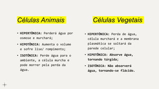 Células Animais
• HIPERTÔNICA: Perderá água por
osmose e murchará;
• HIPOTÕNICA: Aumenta o volume
e sofre lise/ rompimento;
• ISOTÔNICA: Perde água para o
ambiente, a célula murcha e
pode morrer pela perda da
água.
• HIPERTÔNICA: Perda de água,
célula murchará e a membrana
plasmática se soltará da
parede celular;
• HIPOTÕNICA: Absorve água,
tornando túrgida;
• ISOTÔNICA: Não absorverá
água, tornando-se flácido.
Células Vegetais
 