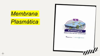Membrana
Plasmática
 