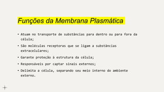 Funções da Membrana Plasmática
• Atuam no transporte de substâncias para dentro ou para fora da
célula;
• São moléculas receptoras que se ligam a substâncias
extracelulares;
• Garante proteção à estrutura da célula;
• Responsáveis por captar sinais externos;
• Delimita a célula, separando seu meio interno do ambiente
externo.
 
