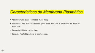 Características da Membrana Plasmática
• Assimetria: duas camadas fluídas;
• Fluidez: não são estáticos por esse motivo é chamado de modelo
mosaico;
• Permeabilidade seletiva;
• Camada fosfolipídica e proteínas.
 