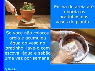 By Paulinha Se você não colocou areia e acumulou água do vaso no pratinho, lave-o com escova, água e sabão uma vez por semana. Encha de areia até a borda os pratinhos dos vasos de planta.  