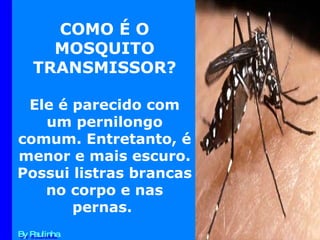 COMO É O MOSQUITO TRANSMISSOR? Ele é parecido com um pernilongo comum. Entretanto, é menor e mais escuro. Possui listras brancas no corpo e nas pernas.  By Paulinha 