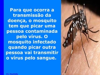 Para que ocorra a transmissão da doença, o mosquito tem que picar uma pessoa contaminada pelo vírus. O mosquito infectado quando picar outra pessoa vai transmitir o vírus pelo sangue.  