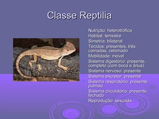 Classe ReptiliaClasse Reptilia
 Nutrição: heterotróficaNutrição: heterotrófica
 Hábitat: terrestreHábitat: terrestre
 Simetria: bilateralSimetria: bilateral
 Tecidos: presentes, trêsTecidos: presentes, três
camadas, celomadocamadas, celomado
 Mobilidade: móvelMobilidade: móvel
 Sistema digestório: presente,Sistema digestório: presente,
completo (com boca e ânus)completo (com boca e ânus)
 Sistema nervoso: presenteSistema nervoso: presente
 Sistema excretor: presenteSistema excretor: presente
 Sistema respiratório: presente,Sistema respiratório: presente,
pulmãopulmão
 Sistema circulatório: presente,Sistema circulatório: presente,
fechadofechado
 Reprodução: sexuadaReprodução: sexuada
 