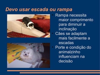 Devo usar escada ou rampa
• Rampa necessita
maior comprimento
para diminuir a
inclinação
• Cães se adaptam
mais facilmente a
escadas
• Porte e condição do
animalzinho
influenciam na
decisão

 