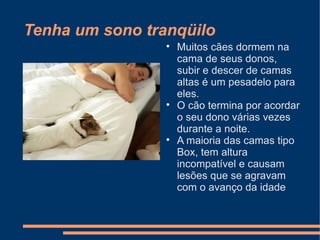 Tenha um sono tranqüilo






Muitos cães dormem na
cama de seus donos,
subir e descer de camas
altas é um pesadelo para
eles.
O cão termina por acordar
o seu dono várias vezes
durante a noite.
A maioria das camas tipo
Box, tem altura
incompatível e causam
lesões que se agravam
com o avanço da idade

 