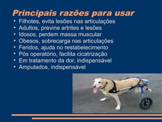 Principais razões para usar









Filhotes, evita lesões nas articulações
Adultos, previne artrites e lesões
Idosos, perdem massa muscular
Obesos, sobrecarga nas articulações
Feridos, ajuda no restabelecimento
Pós operatório, facilita cicatrização
Em tratamento da dor, indispensável
Amputados, indispensável

 